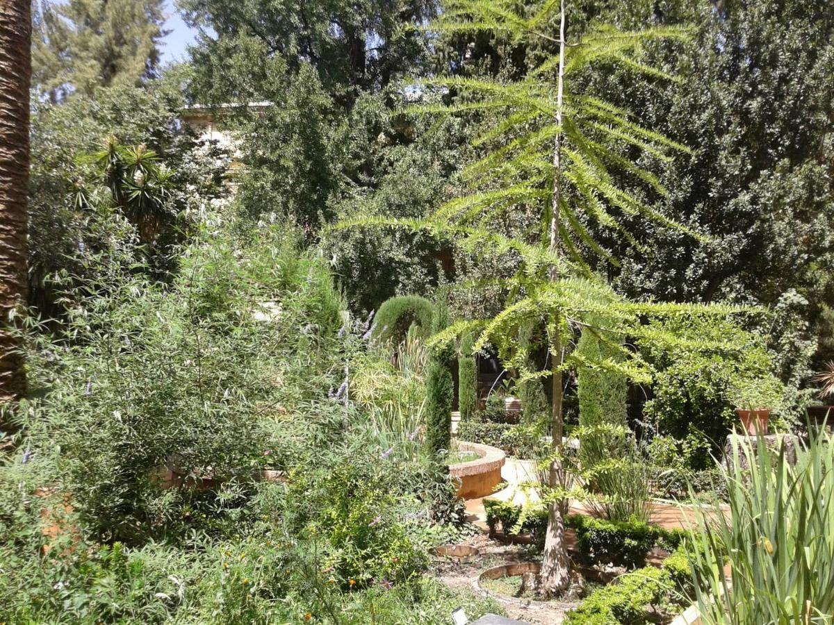 Apartamento Catedral Centro Γρανάδα Εξωτερικό φωτογραφία